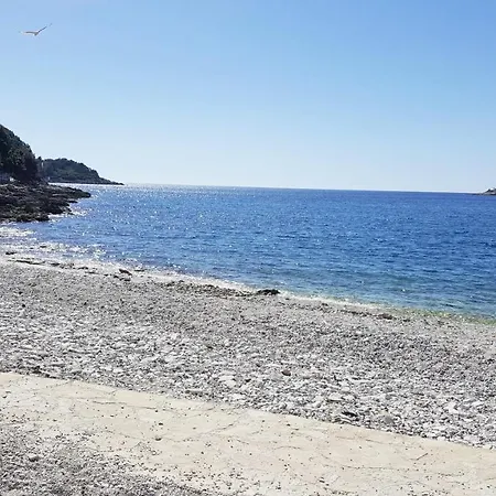 Angel ペシュチャーナ・ウヴァラ