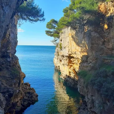 アパート Angel *